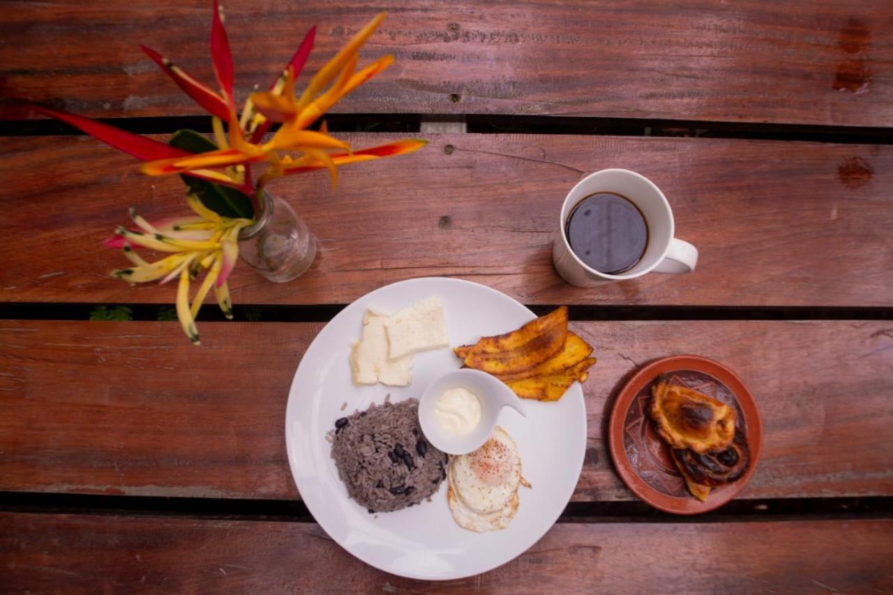 Los Chocuacos. Guácimo المظهر الخارجي الصورة