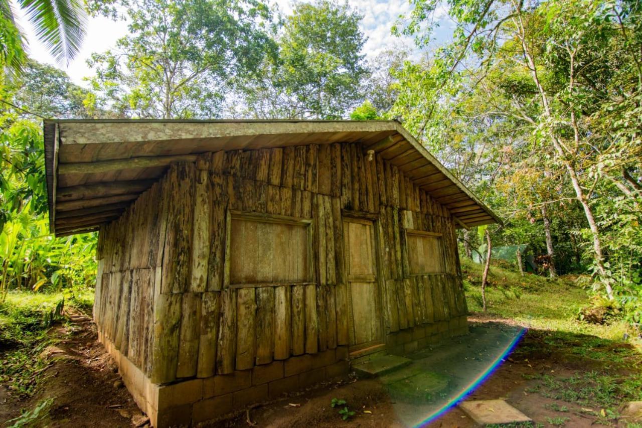 Los Chocuacos. Guácimo المظهر الخارجي الصورة