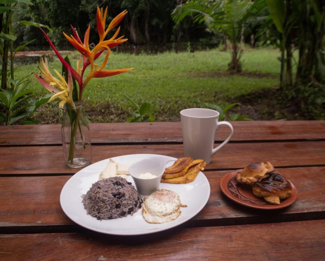 Los Chocuacos. Guácimo المظهر الخارجي الصورة